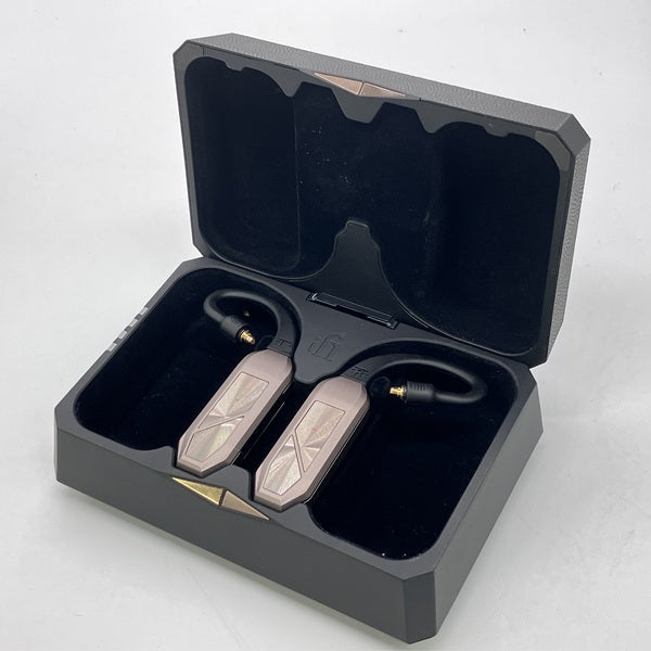 s*s様 これ以上値下げ不可 ほぼ新品　使用回数数回 Go Pod Max 11 iFi-Audio 【中古】GO pod MAX 【IFI-GO-PODMAX】【秋葉原】 – e☆イヤホン