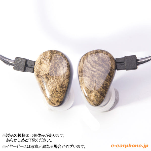 HEIR AUDIO Heir IEM 5.0（ユニバーサルモデル） – e☆イヤホン