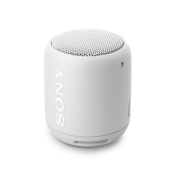 SRS-XB10