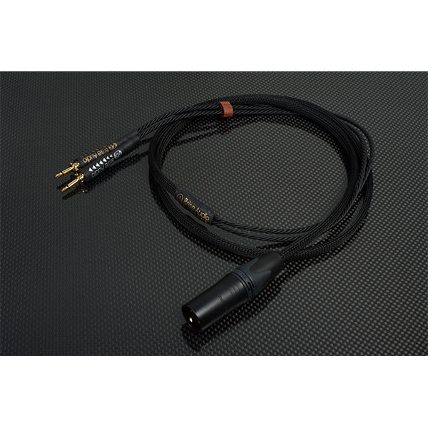 Brise Audio UPG001HP Ref. [final-3極XLR x2(カーボンステンレス