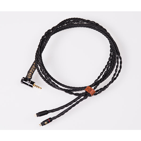 Brise Audio UPG001Ref.SE OFC L型4極Φ2.5mmプラグ-2PIN