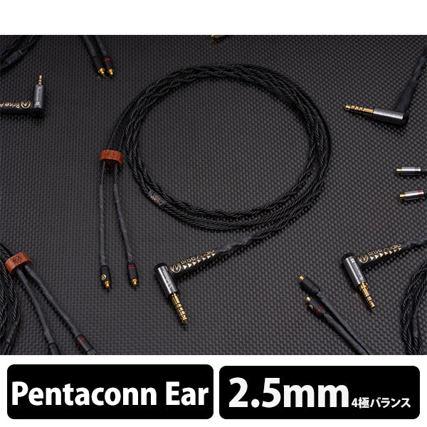 ASUHA Ref.2 4極Φ2.5mmプラグ-Pentaconn Ear (OFC) 【ASUER2L425PE】