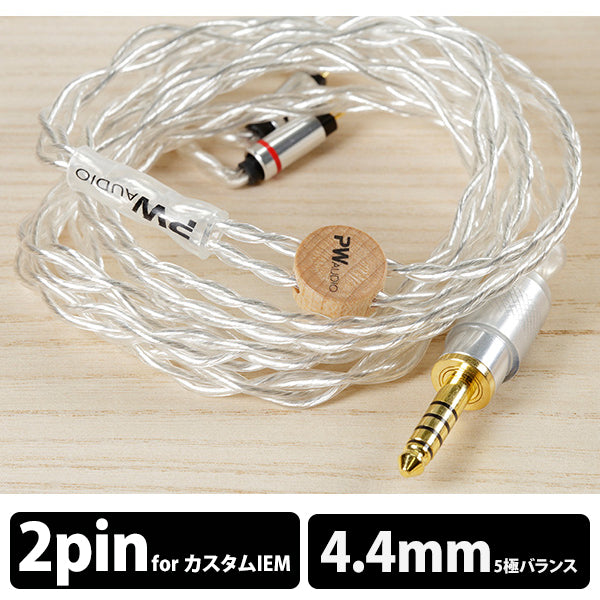 PW AUDIO No.10 JP ver. 2pin CIEM 4.4mm – e☆イヤホン