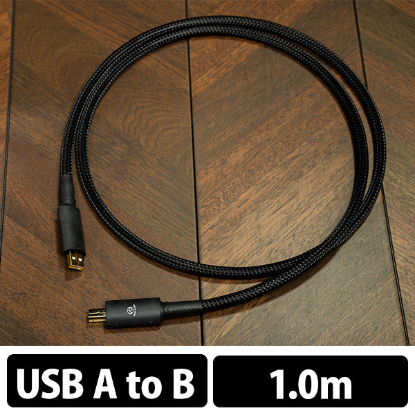 Brise Audio ACCURATE-USB – e☆イヤホン