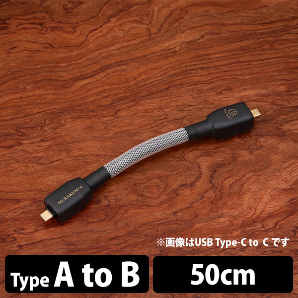Brise Audio MURAKUMO2-USB – e☆イヤホン