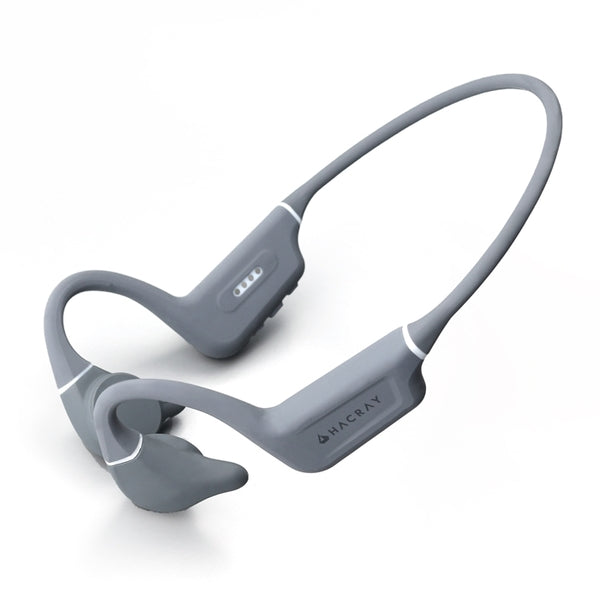 SeaHorse 2 【HR27168】