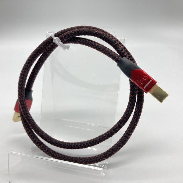 【中古】CINNAMON USB【秋葉原】