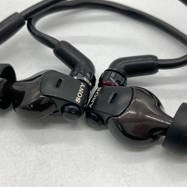 イヤホン SONY MDR-EX1000 イヤホン SONY MDR-EX1000 レビュー