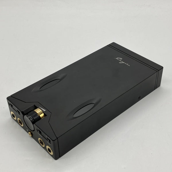 新品 Cayin C9 専用 純正 レザーケース カイン 【公式通販】