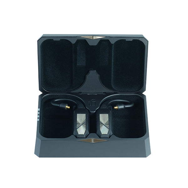 iFi-Audio 【アウトレット】GO pod – e☆イヤホン