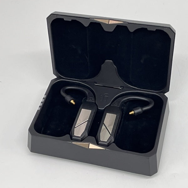 ifi audio GO pod 中古美品 Fit Ear 対応プラグ付き ifi audio GO pod 中古美品 Fit Ear 対応プラグ付き イヤホン