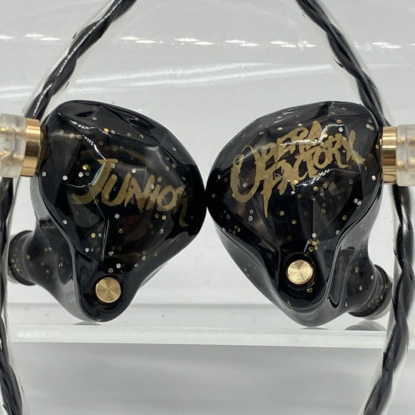 【中古】Whizzer OS1 Pro【仙台】