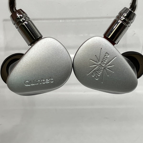 Kiwi Ears Quintet 有線イヤホン　中古美品 Kiwi Ears Quintet キウイイヤーズ 有線イヤホン カナル型 耳