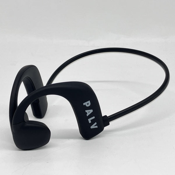 【中古】PALV Earwear【秋葉原】