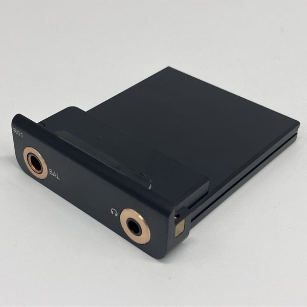 【中古】R01 オーディオマザーボード・R-2Rラダー型DAC搭載【名古屋】