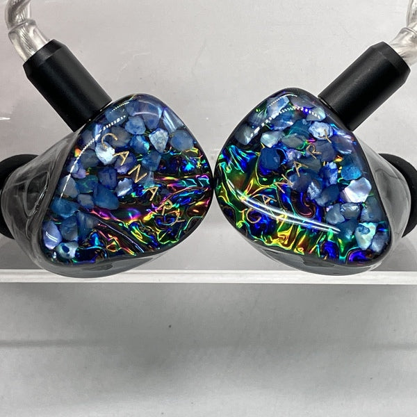 AAW 【中古】Canary Pro(Universal Fit)【日本橋】 – e☆イヤホン
