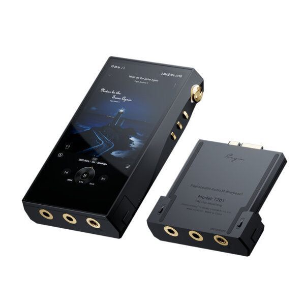 Cayin N6iii/E203 + T201スターターセット【SPK-A006-E203+T201】 – e
