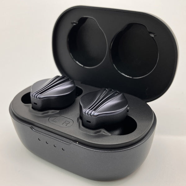 【中古美品】FW5 FIO-FW5-B ワイヤレスイヤホン FIIO 【中古】FW5 【FIO-FW5-B】【秋葉原】 – e☆イヤホン