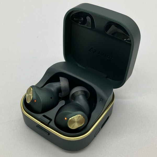AVIOT 【中古】TE-Q3-GR【日本橋】 – e☆イヤホン