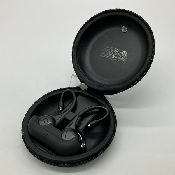 SHURE RMCE-TW2 pochiの気まぐれ日記