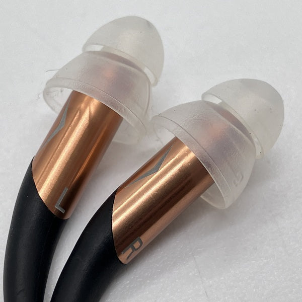 Klipsch 【中古】Klipsch X10 Rev.1.2 【KLRFXA0112】【名古屋】 – e