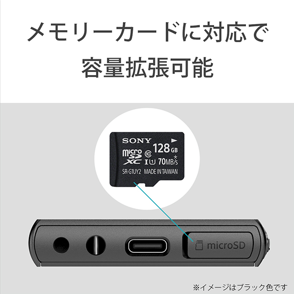 SONY ソニー NW-A100TPS (ウォークマン40周年記念モデル) / e☆イヤホン