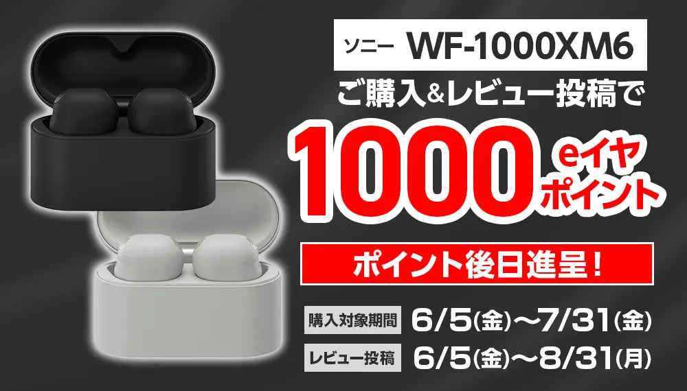 【SONY WF-1000XM6購入者限定！】レビュー投稿で500円分のeイヤポイントプレゼント！【～3/1 購入分まで！】
