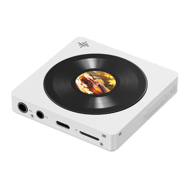 FIIO Snowsky DISC – e☆イヤホン