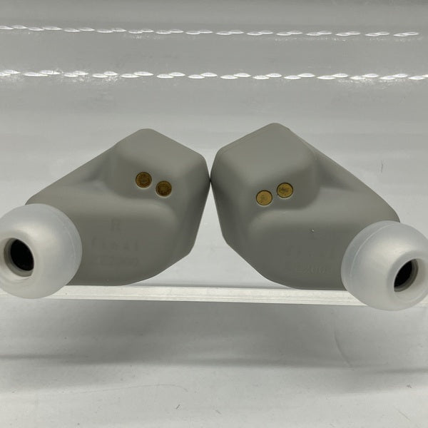 final 【中古】ZE2000 アッシュグレー 【FI-ZE2DPLTW-ASH-GRAY