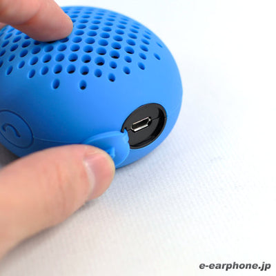 BLUETUNE BEAN