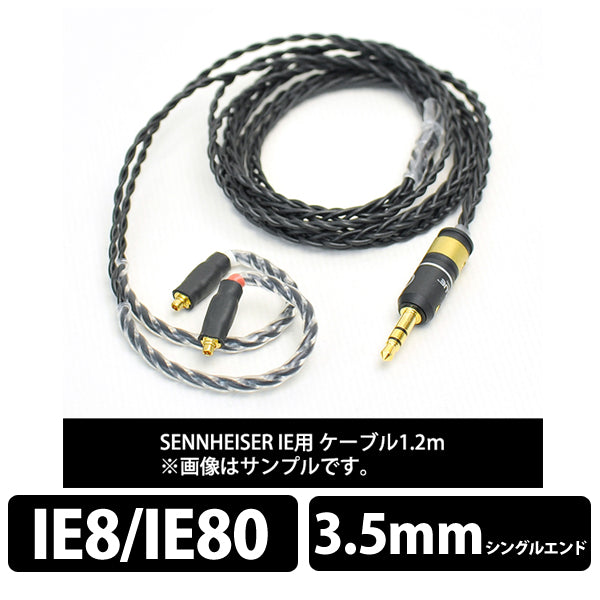 Silver（ブラック） IE80