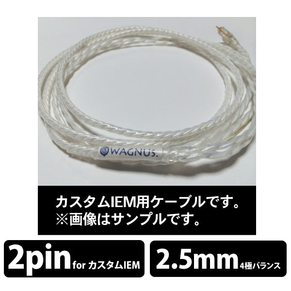 LUNA for Astell&Kern BTL-Balanced カスタムIEM用