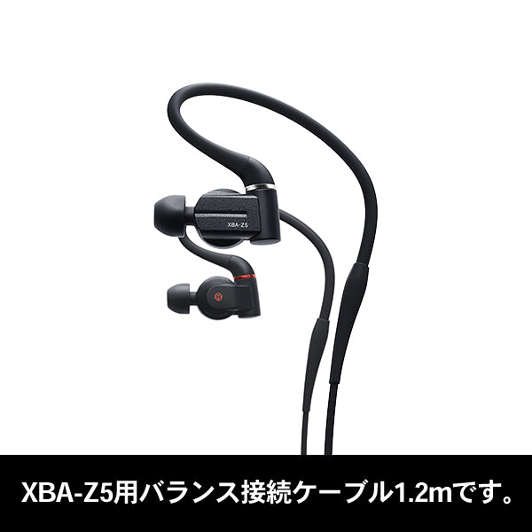 XBA-Z5用 バランス接続ケーブル【184861111】