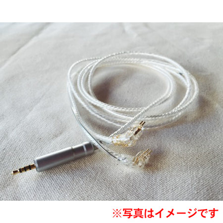 ヘッドフォン/イヤフォン WAGNUS. Diamond Dust type aenigma 2Pin WAGNUS. Diamond Dust 【type aenigma】 2.5mm4極 2pin CIEM 溝無し