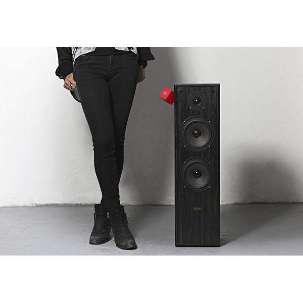 PaulCocksedge THE VAMP スピーカーをBluetoothスピーカーにするアンプ