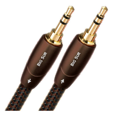 BIG/2XSTM