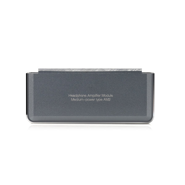 アンプモジュール　fiio AM2A アンプモジュール fiio AM2A アンプモジュール – FIIO Japan