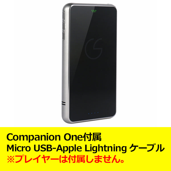 Companion One付属 Micro USB-Apple Lightning ケーブル