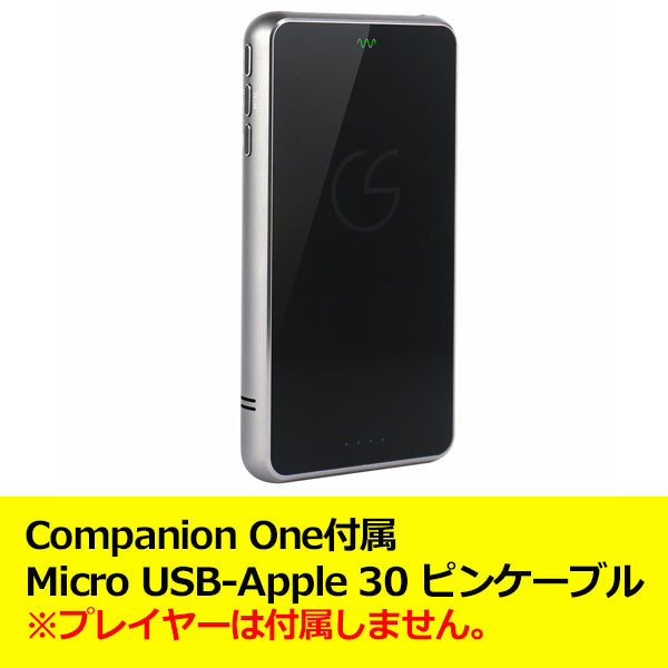 Companion One付属 Micro USB-Apple 30 ピンケーブル