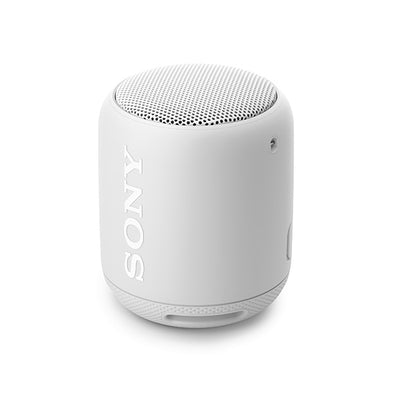 SRS-XB10