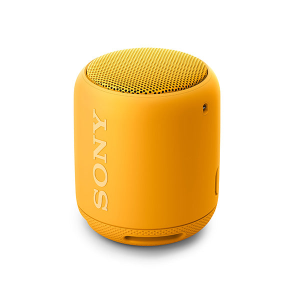 SRS-XB10