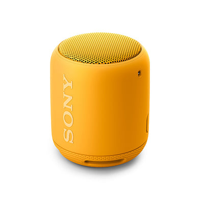 SRS-XB10