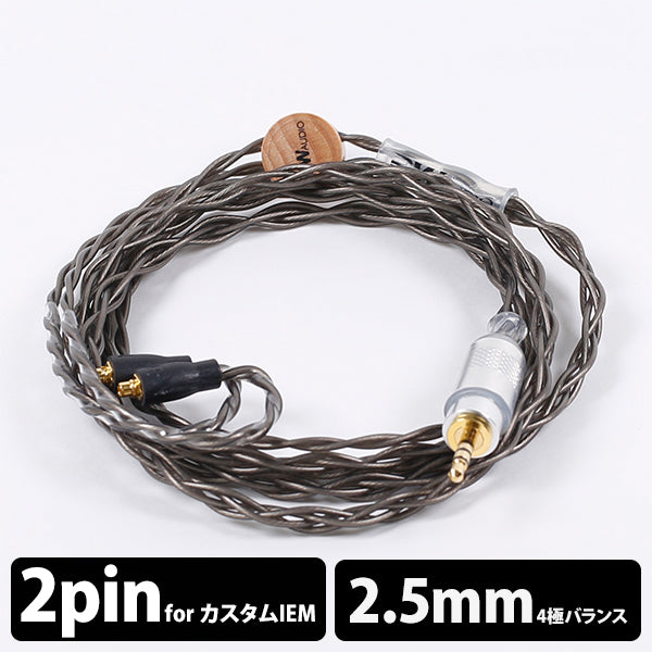 Pure silver CIEM 2pin 2.5mm Balanced