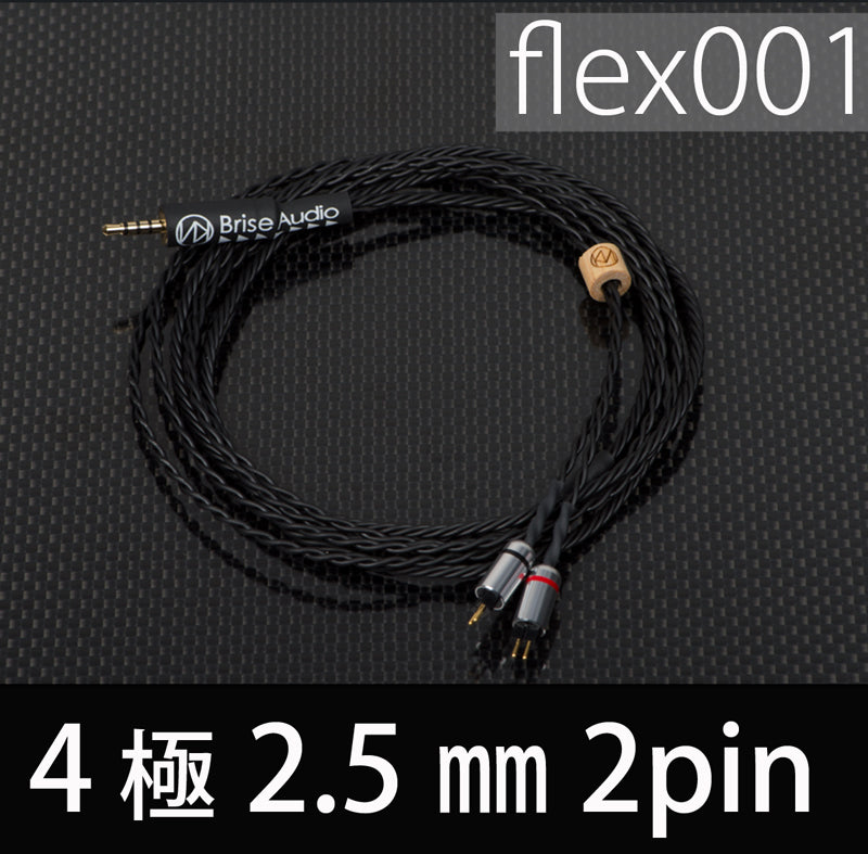 flex001【4極Φ2.5mmプラグ-2pin】