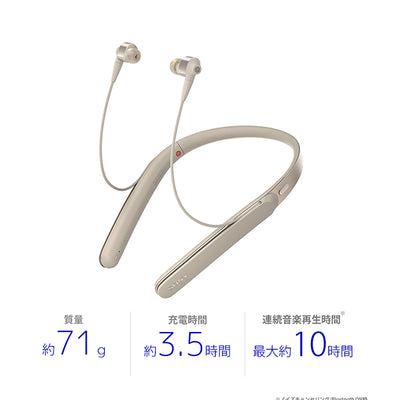 WI-1000X
