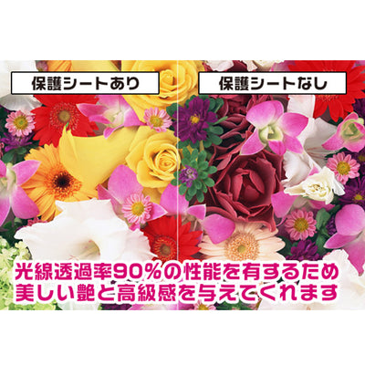 OverLay for A&ultima SP1000『表面・背面セット』