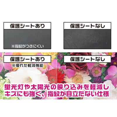 OverLay for A&ultima SP1000『表面・背面セット』
