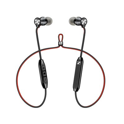MOMENTUM Free 【M2 IEBT SW】