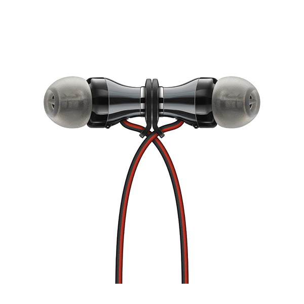 MOMENTUM Free 【M2 IEBT SW】