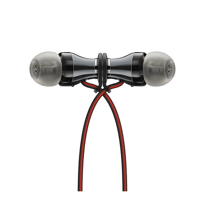 MOMENTUM Free 【M2 IEBT SW】